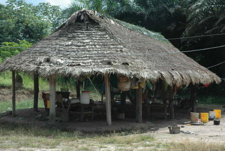 malaleja2-large